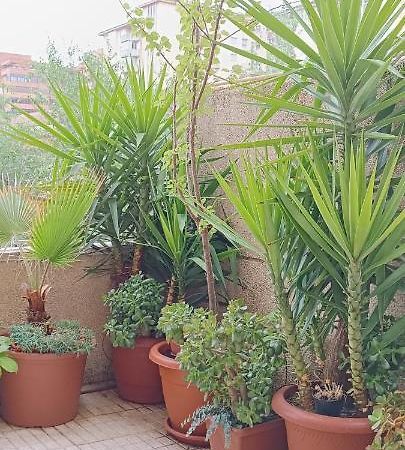 Apartamento Turistico Principe Caceres At-Cc-00415 Caces Dış mekan fotoğraf