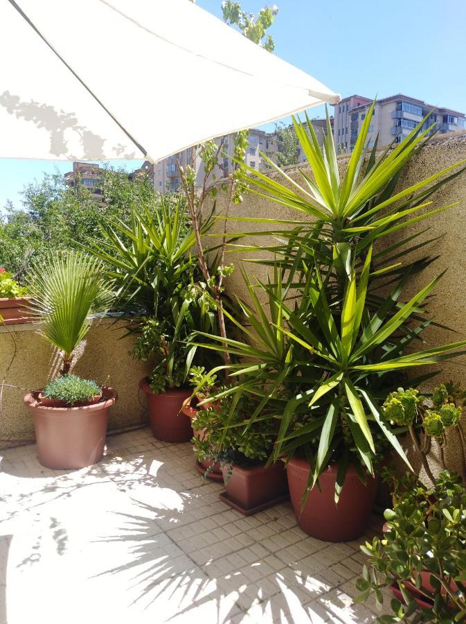Apartamento Turistico Principe Caceres At-Cc-00415 Caces Dış mekan fotoğraf