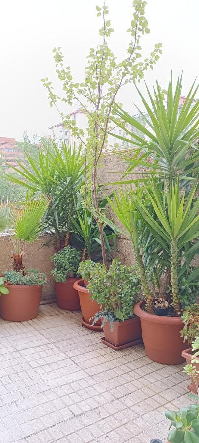Apartamento Turistico Principe Caceres At-Cc-00415 Caces Dış mekan fotoğraf