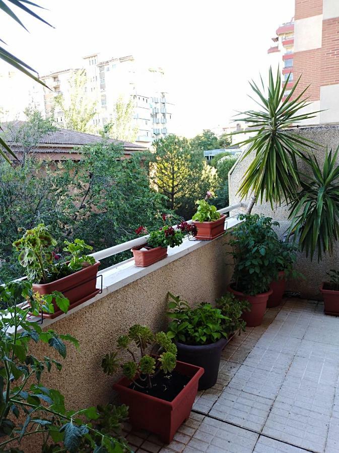 Apartamento Principe Caces Dış mekan fotoğraf