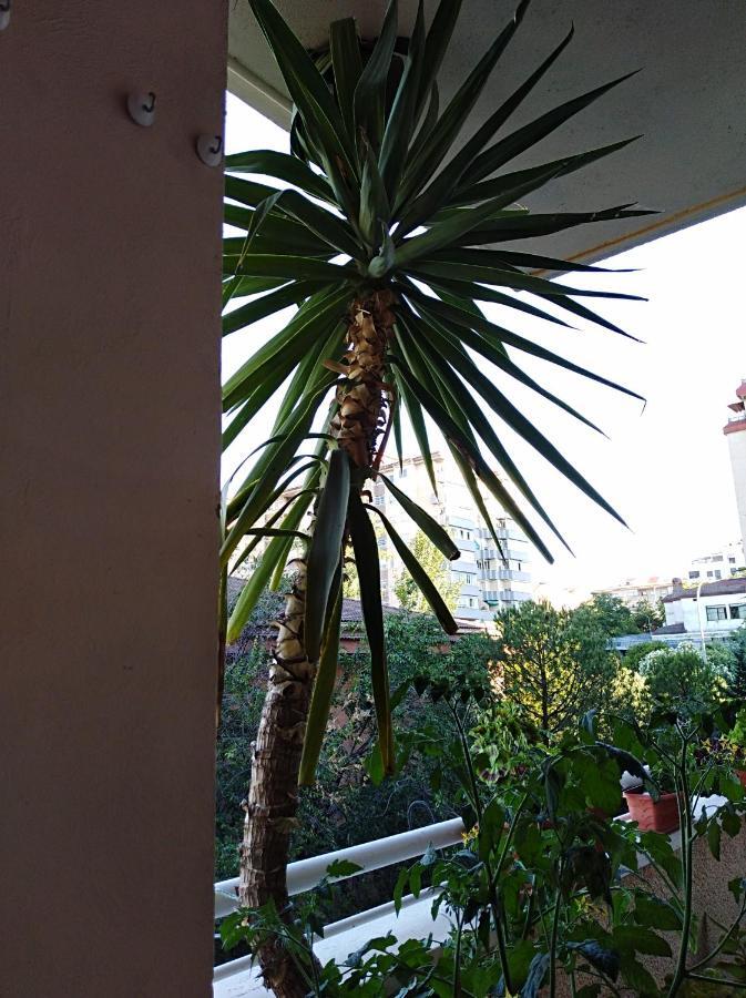 Apartamento Principe Caces Dış mekan fotoğraf